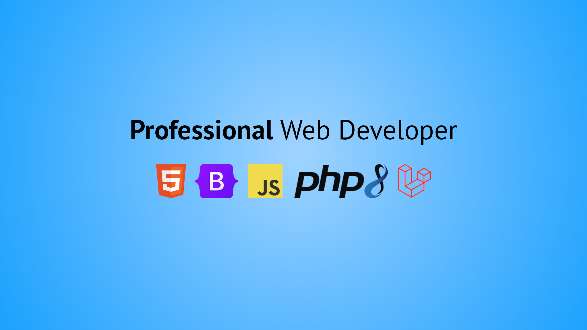 Professional Web Developer
